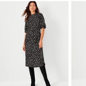 Ann Taylor spotted dress. New with tags. Size 4P